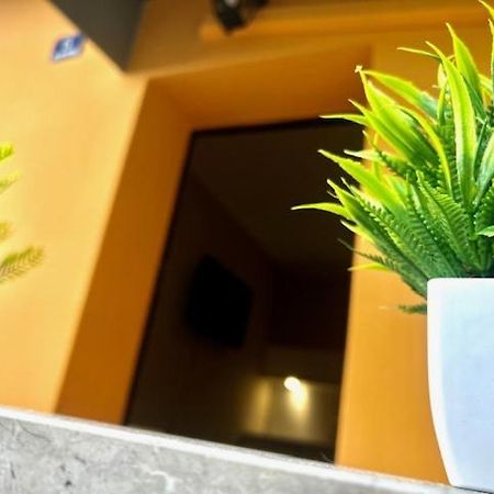 Residence Zar 8 Трієст Екстер'єр фото