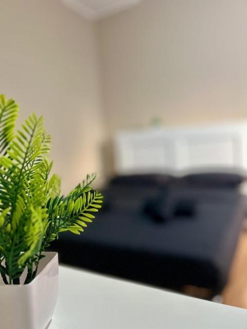 Residence Zar 8 Трієст Екстер'єр фото