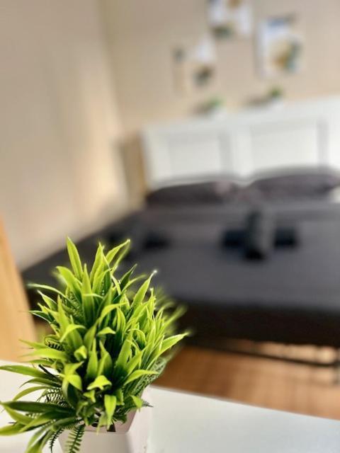 Residence Zar 8 Трієст Екстер'єр фото